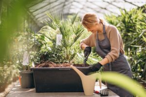 diferença entre jardinagem e paisagismo