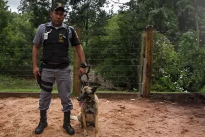 Um vigilante patrimonial armado durante ronda com cão treinado