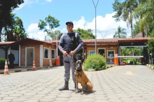 Vigilante uniformizado com cão de guarda ao lado de guarita de segurança em condomínio de luxo